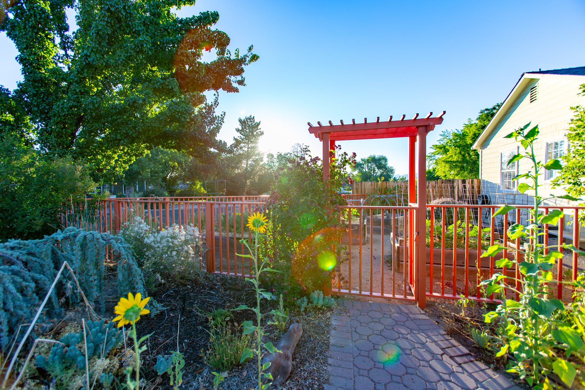 Rainbow Garden in Midtown Reno, NV