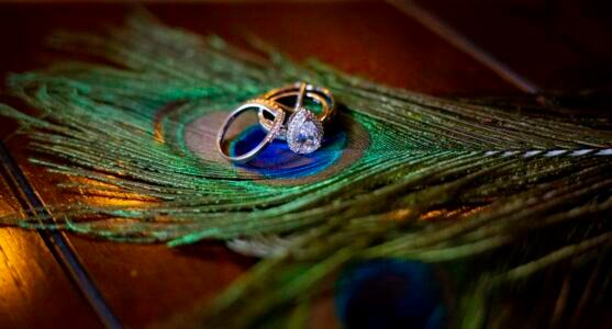 The Rings