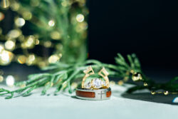 The Rings displayed on a table in a restaurant downtown Reno next to the river